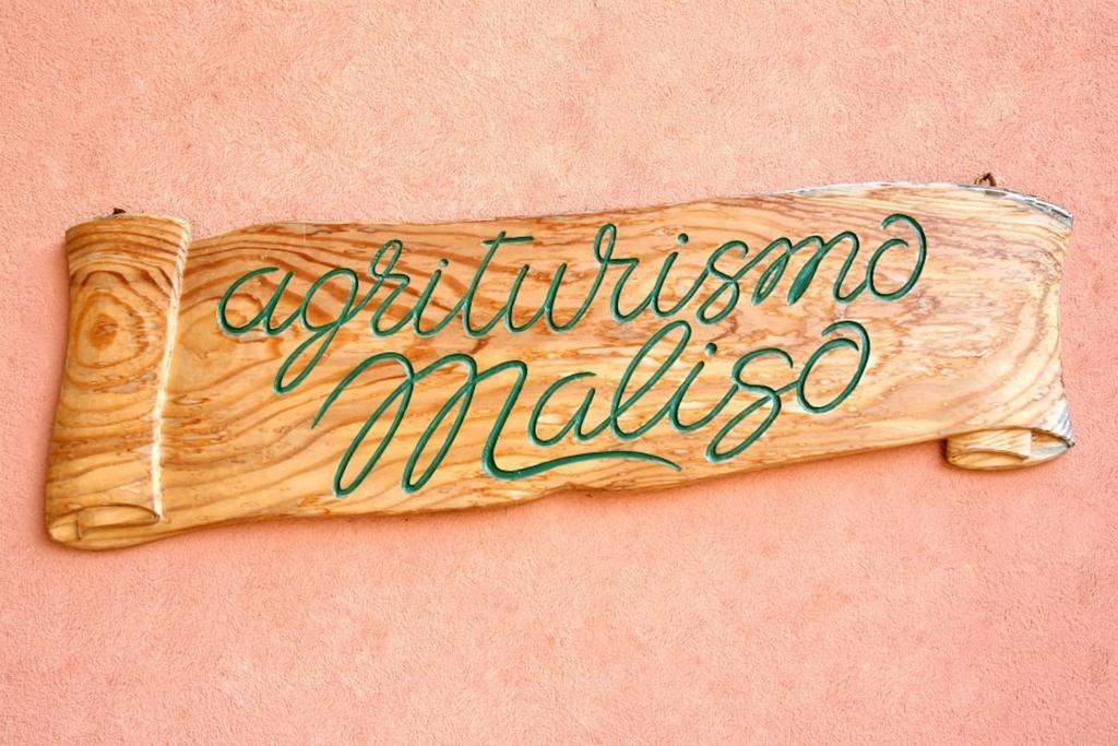 Agriturismo Maliso Ceggia Εξωτερικό φωτογραφία